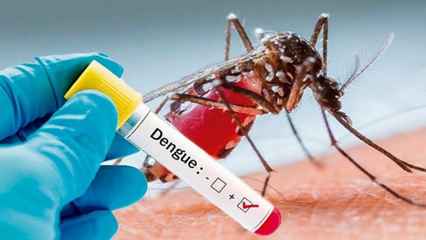 Dengue-v4__FillWzg0MCw1NTBd.jpg