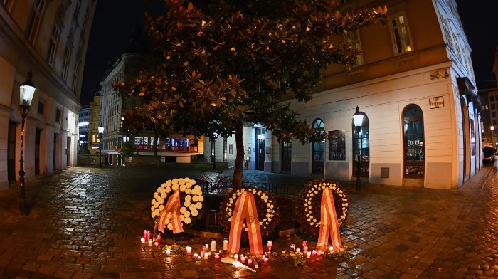 EI atentado Viena.jpg