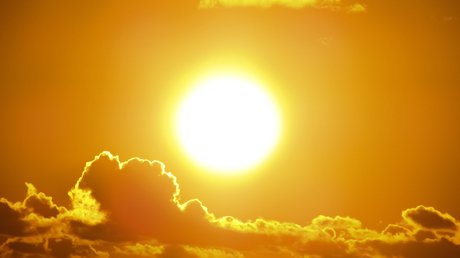 EL SOL CALOR.jpg