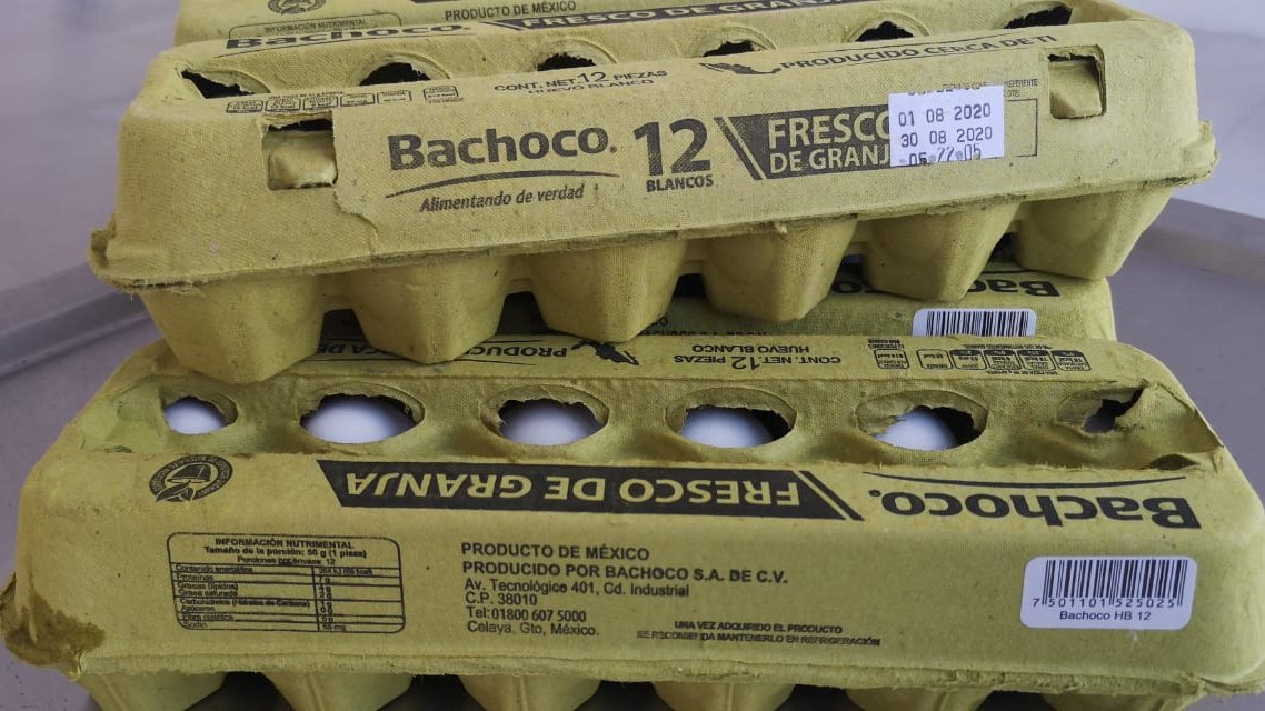 Bachoco
