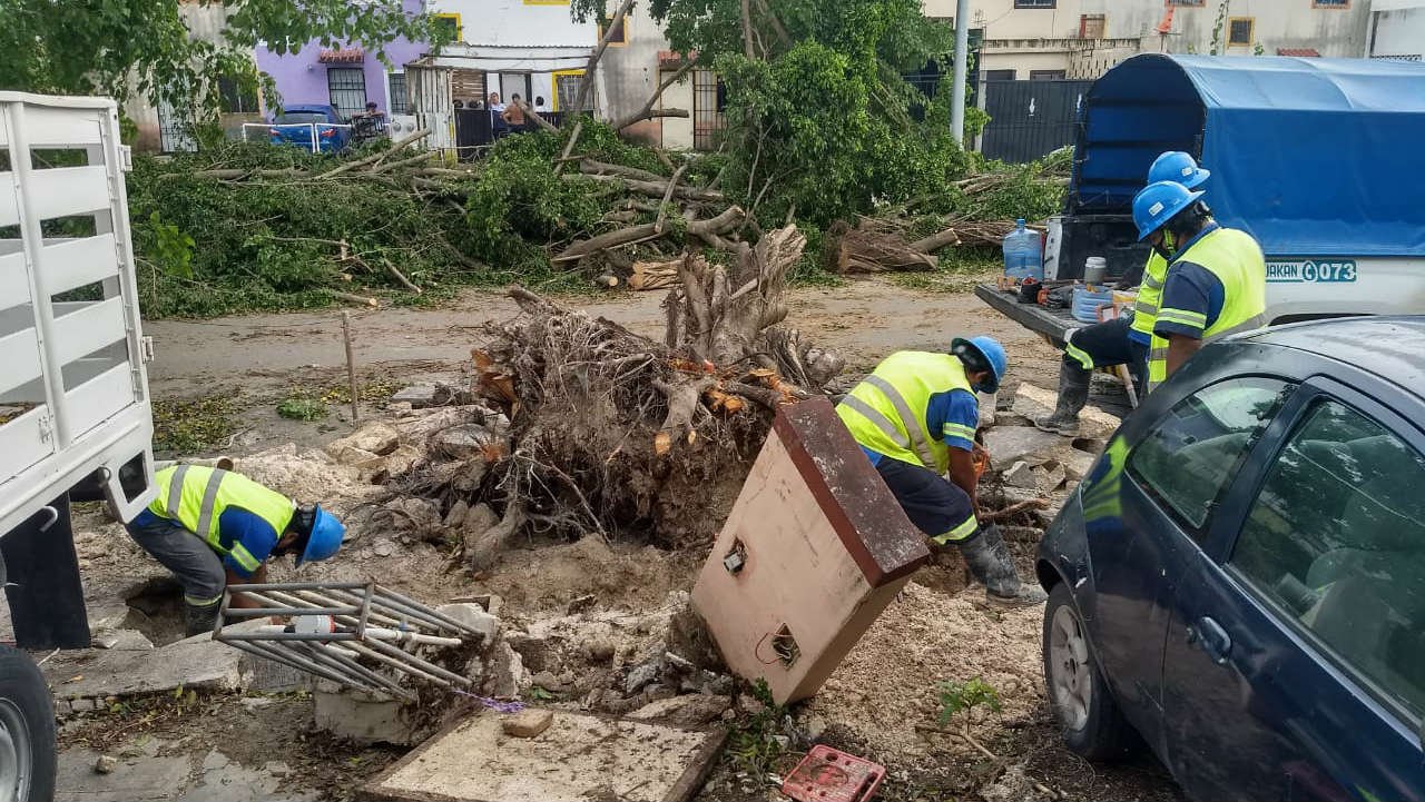 Electricidad qroo y yucatán.jpg