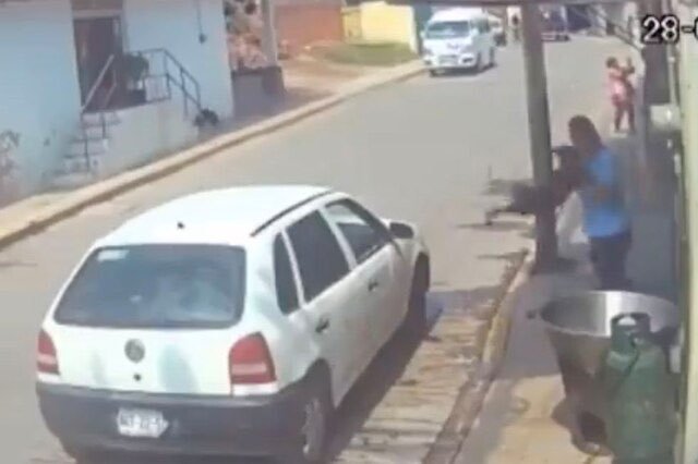 Sergio “N”, responsable de aventar al perrito Benito, culpable