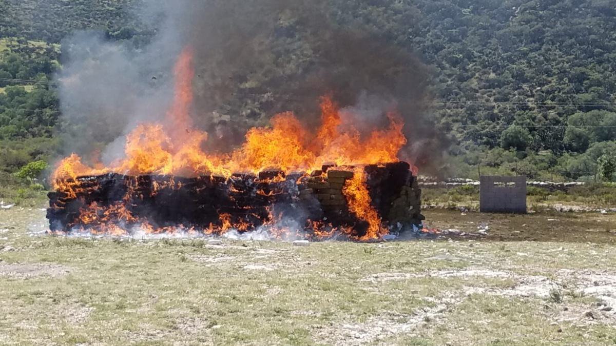 FGR y Sedena incineran narcóticos en SLP.jpg
