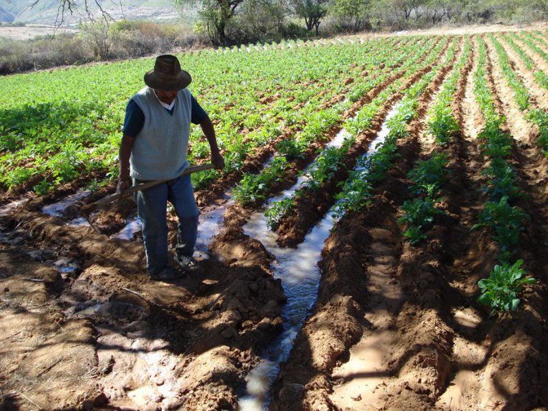 Foto-riego-campesino-meta-de-gobierno-de-un-millón-de-hectáreas120215.jpg