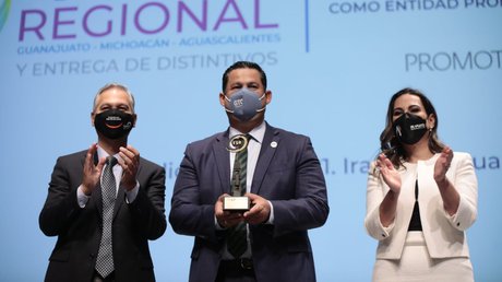 Gto distintivoentpromotoraderespsoc.jpg