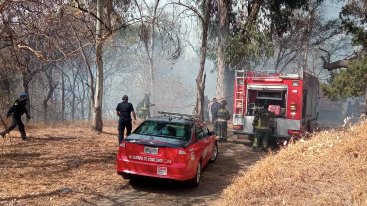 Incendio Bosquehapult3sec.jpg