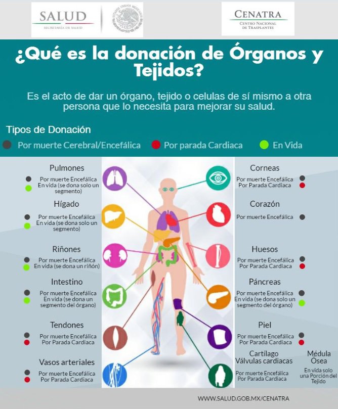 Infografia_donacion__7_.jpg