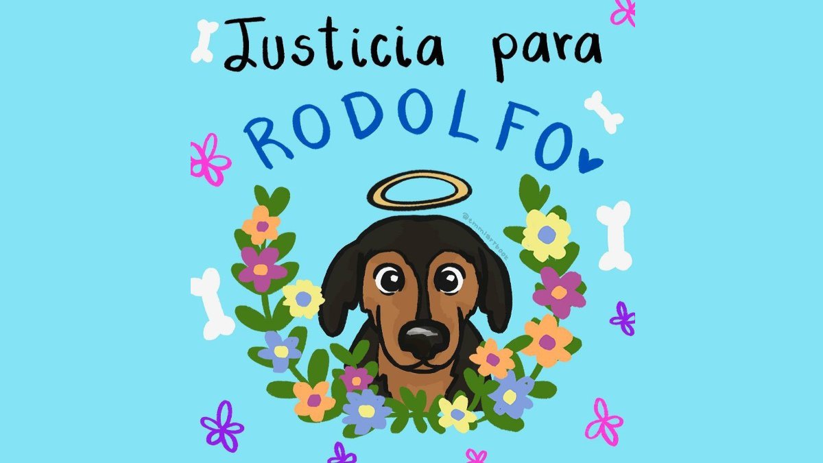 Justicia para Rodolfo perrito.jpg