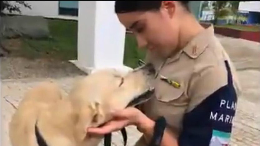 Marina adopta a perrito .jpg