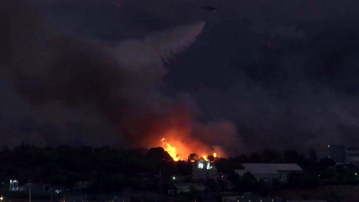 MuertoincendiosGrecia.jpg
