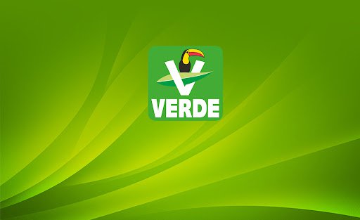 Partido verde.jpeg