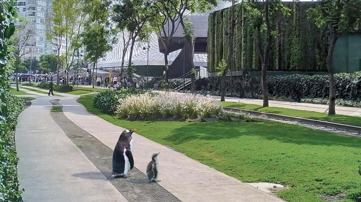 Pingüinos plaza carso.jpg