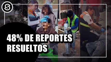 REPORTES