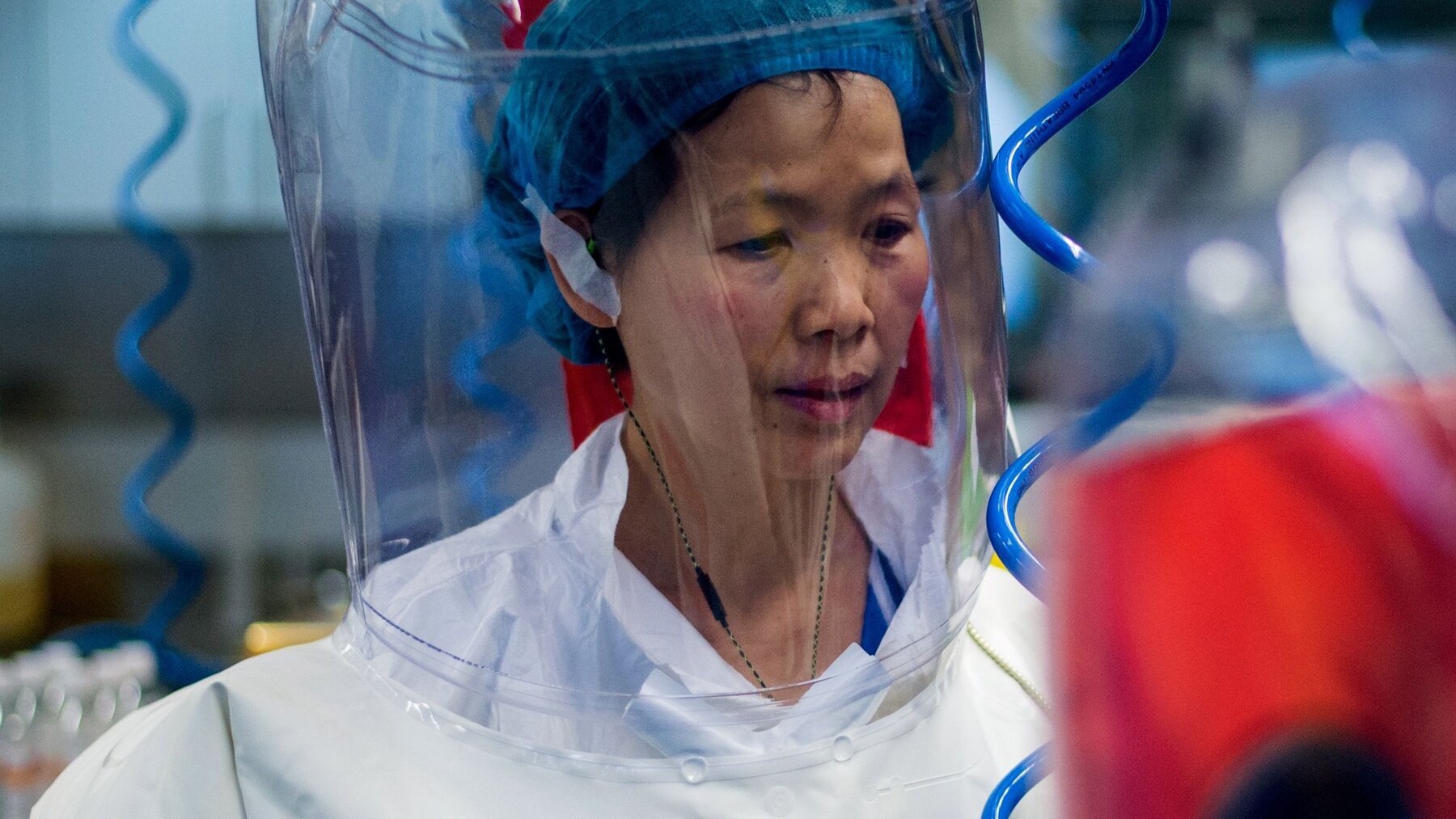 Shi_Zhengli .jpg