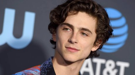Timothee Chalamet violencia y abuso.jpg