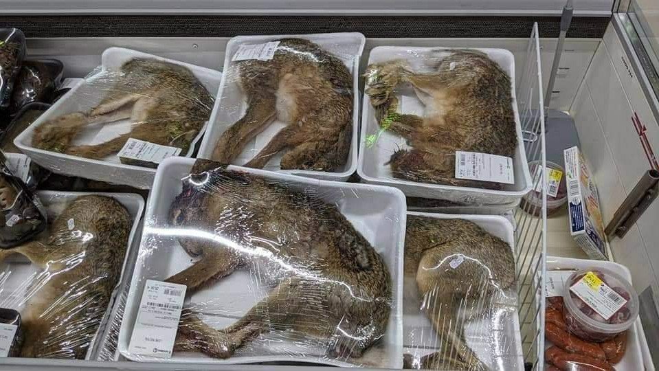 Venta de animales enteros Francia.jpg