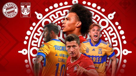 WhatsApp Image 2021-02-08 at 2.41.44 PM.jpg