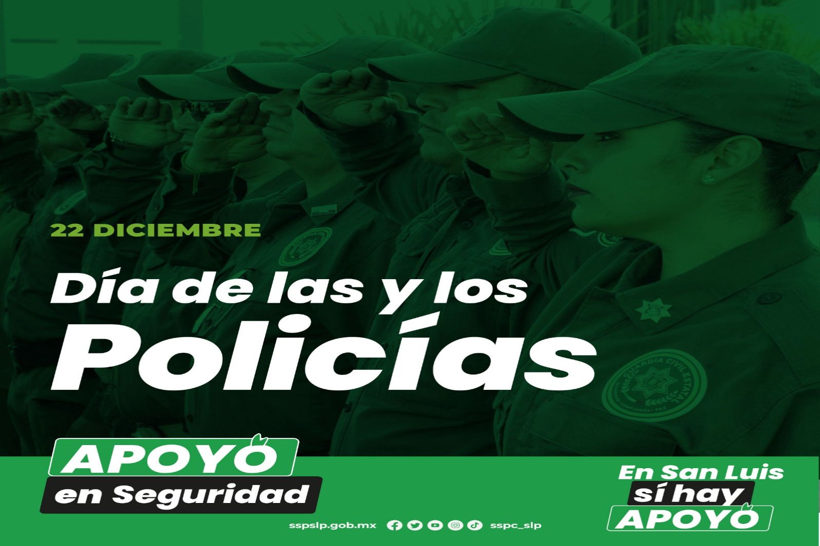 WhatsApp Image 2023-12-22 at 11.02.11-fotor-20231222142526