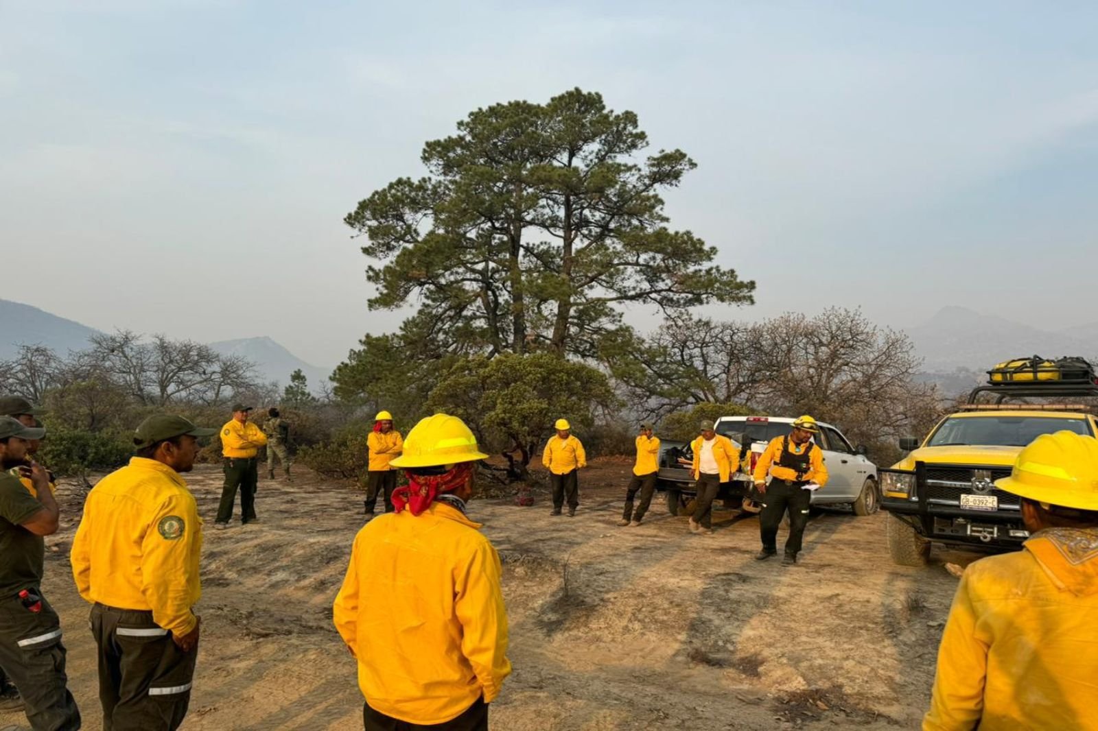 Incendios forestables SLP