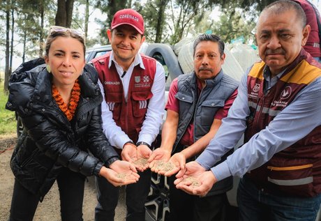 WhatsApp Image 2024-10-28 at 1.55.21 PM (1)