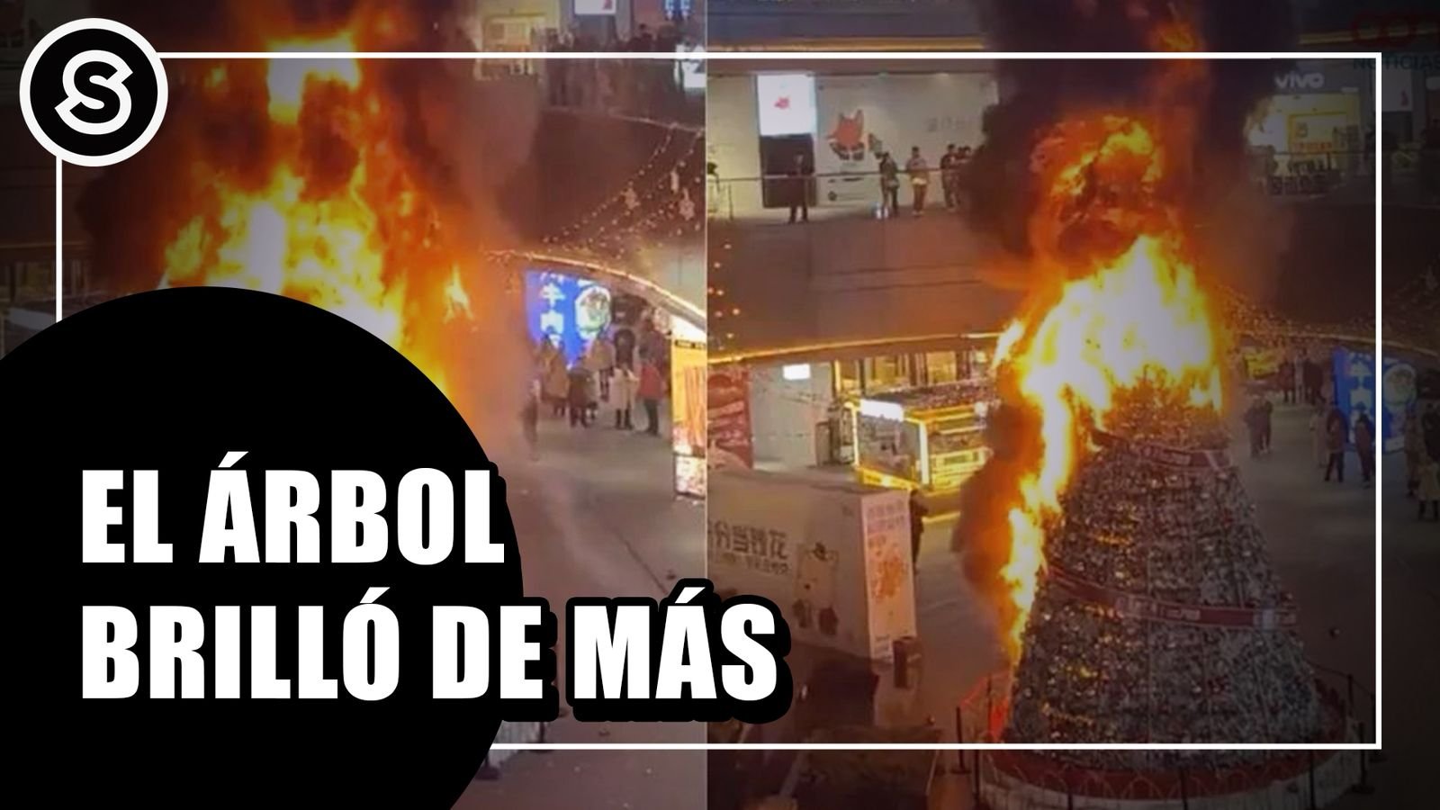 WhatsApp Image 2025-12-01 at 12.04.11 PM