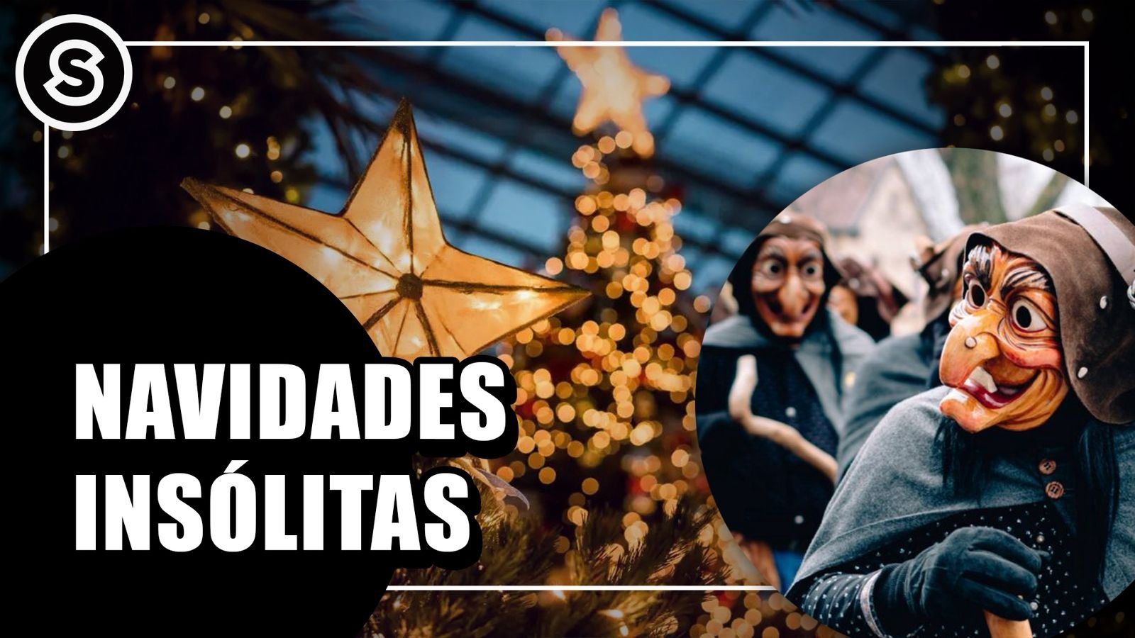 WhatsApp Image 2025-12-03 at 12.45.26 PM