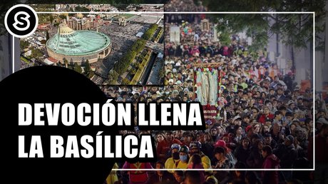 WhatsApp Image 2025-12-12 at 12.10.39 PM