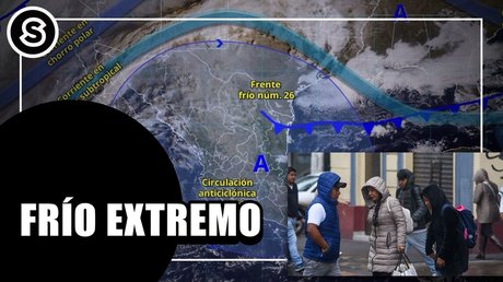 WhatsApp Image 2026-01-05 at 2.17.28 PM