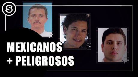 WhatsApp Image 2026-01-13 at 11.42.09 AM