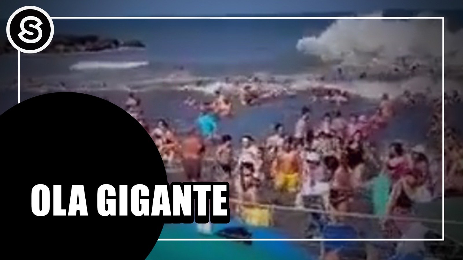 WhatsApp Image 2026-01-13 at 12.21.37 PM