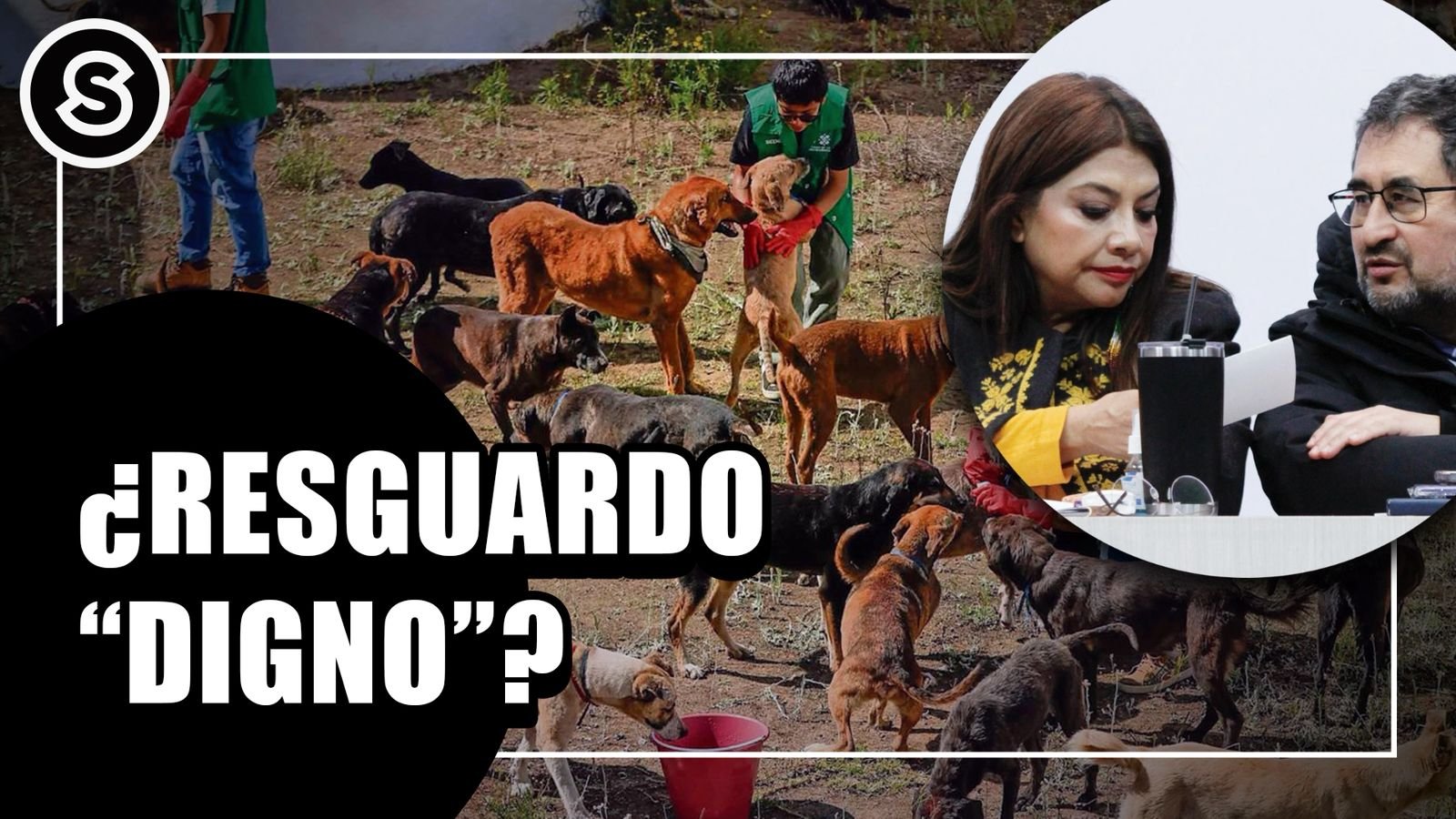 WhatsApp Image 2026-01-14 at 1.52.23 PM