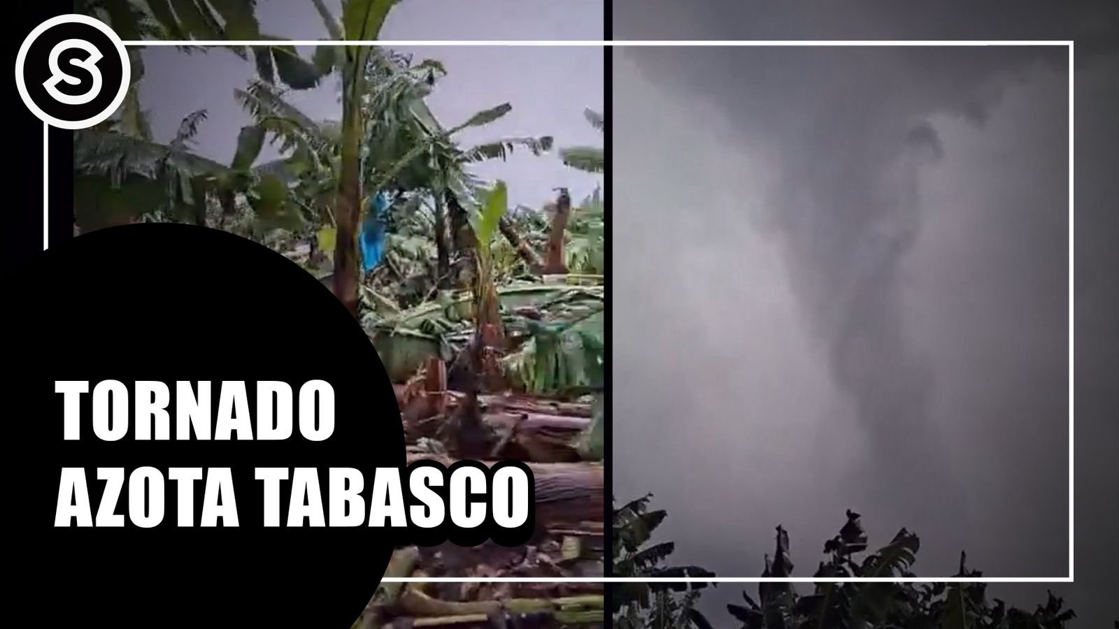 WhatsApp Image 2026-01-16 at 12.10.13 PM