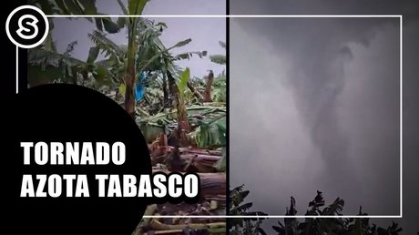 WhatsApp Image 2026-01-16 at 12.10.13 PM