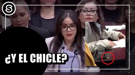 WhatsApp Image 2026-02-04 at 12.39.46 PM