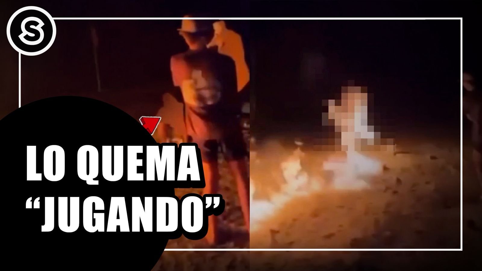 WhatsApp Image 2026-02-06 at 12.47.12 PM (1)