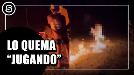 WhatsApp Image 2026-02-06 at 12.47.12 PM (1)