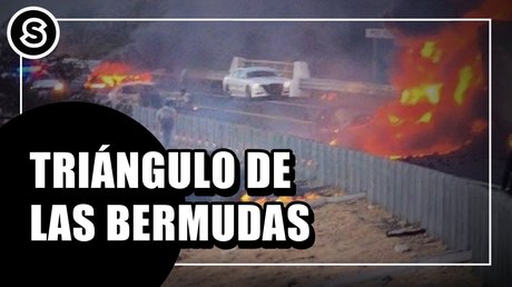 WhatsApp Image 2026-02-06 at 4.47.48 PM