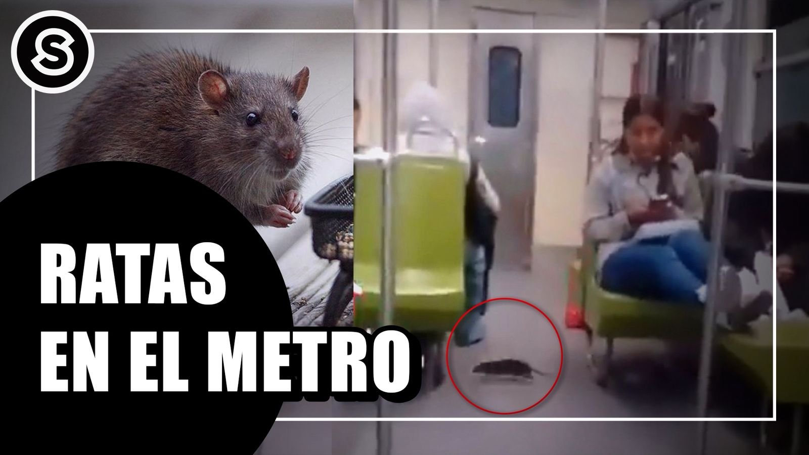 WhatsApp Image 2026-03-17 at 11.32.31 AM