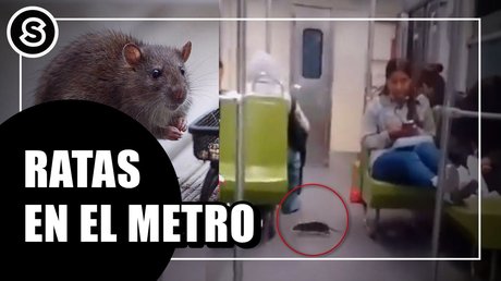 WhatsApp Image 2026-03-17 at 11.32.31 AM