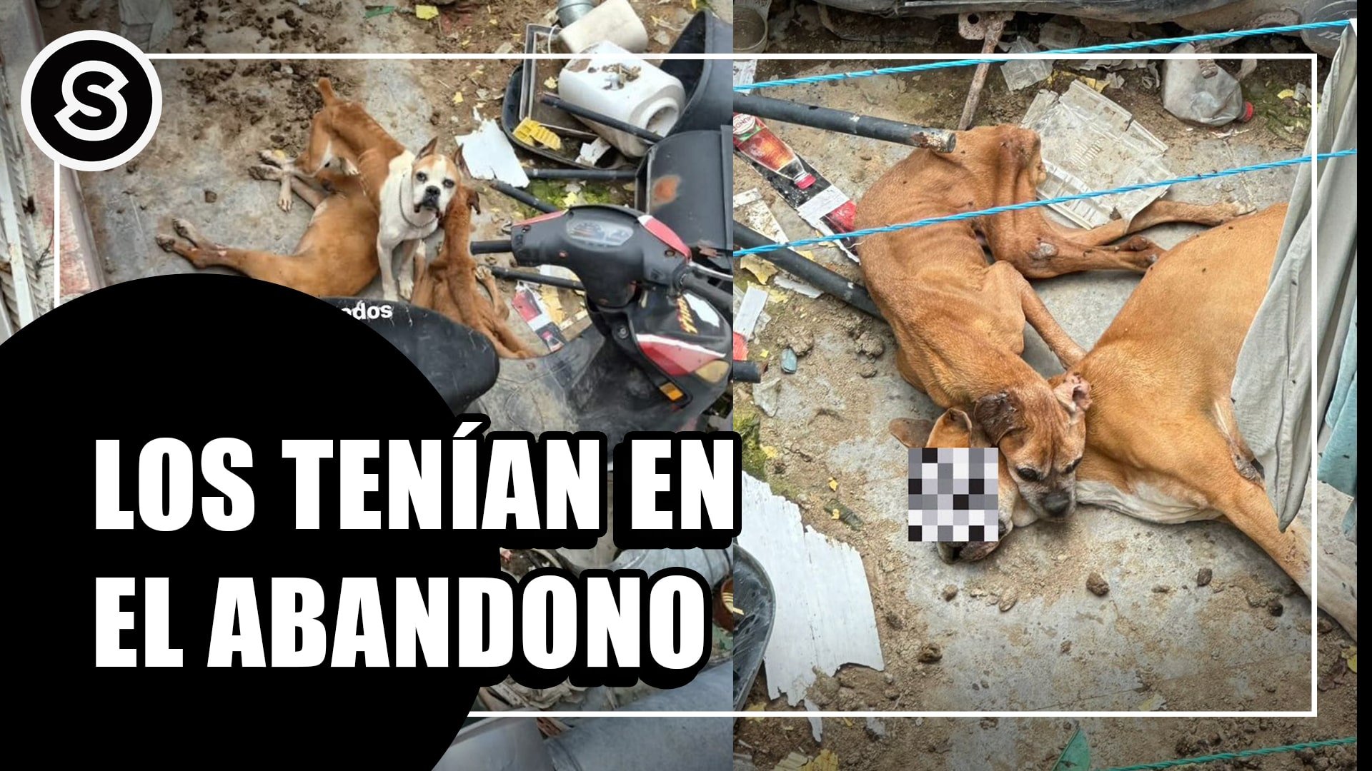 abandono