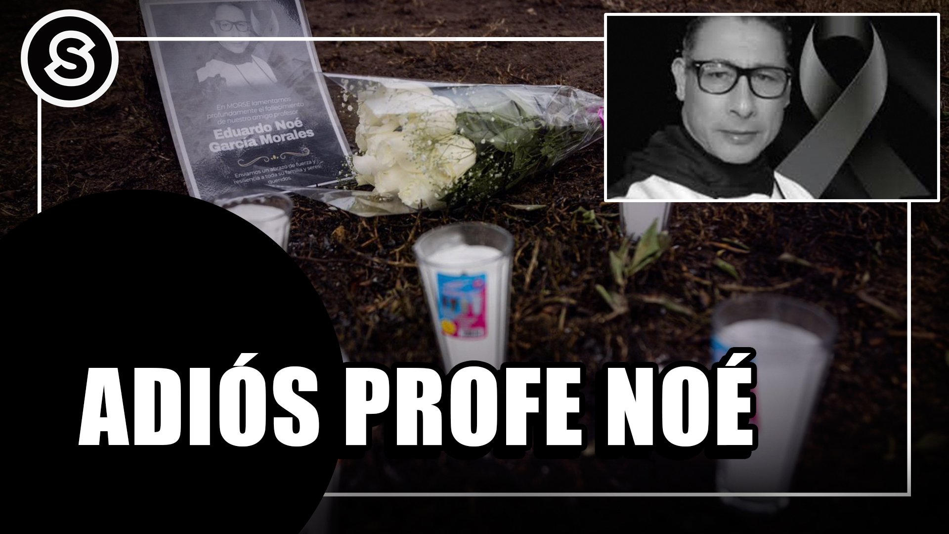adios.profe