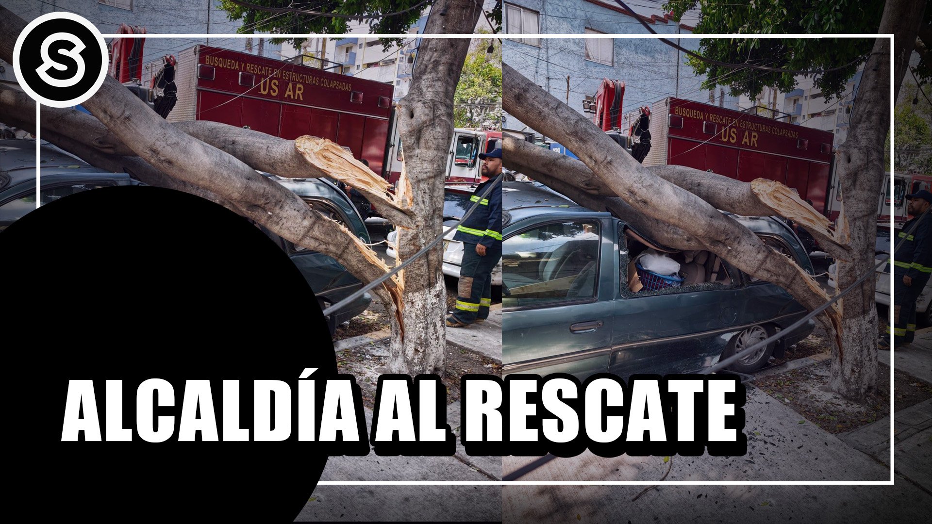 alcaldia