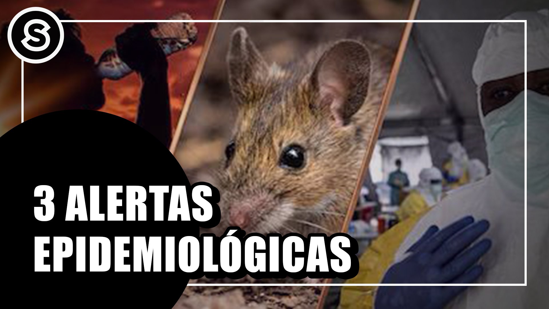 alertas