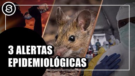 alertas