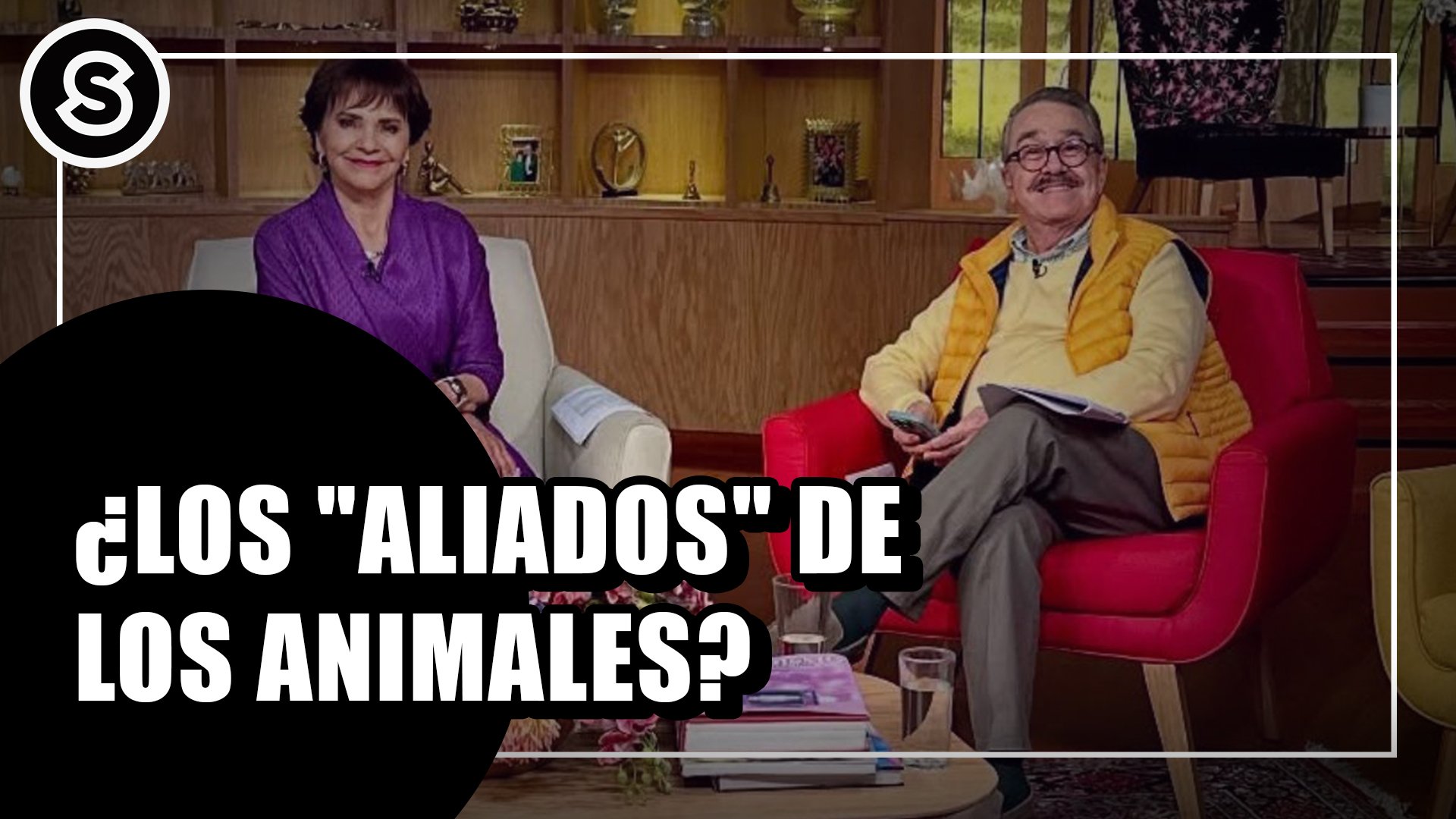 aliados