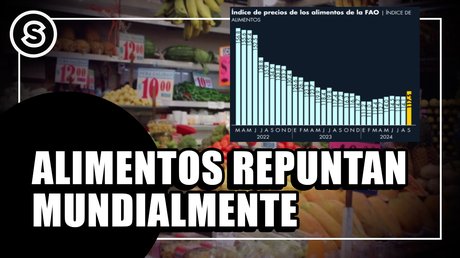 alimentos