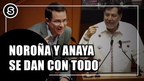 anaya