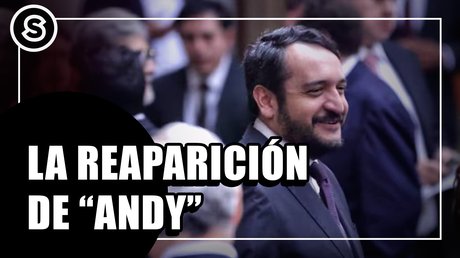 andy
