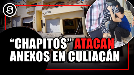 anexo mini_080425 (1)