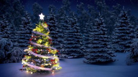 arbol-navidad (1).jpg